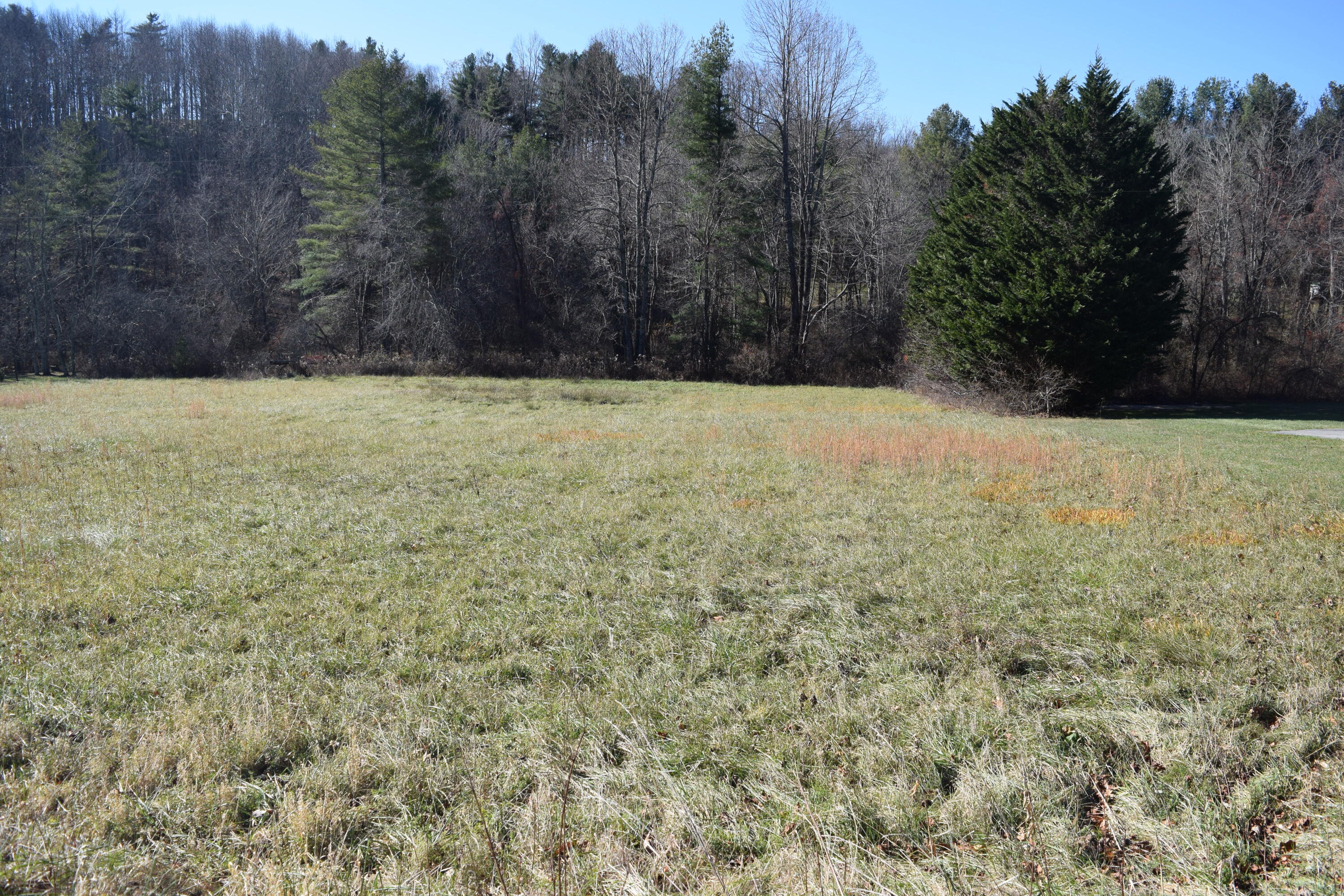 7547 Conner Road Northeast Copper Hill, VA 24079 - Photo 26 of 27 a view of backyard and tree