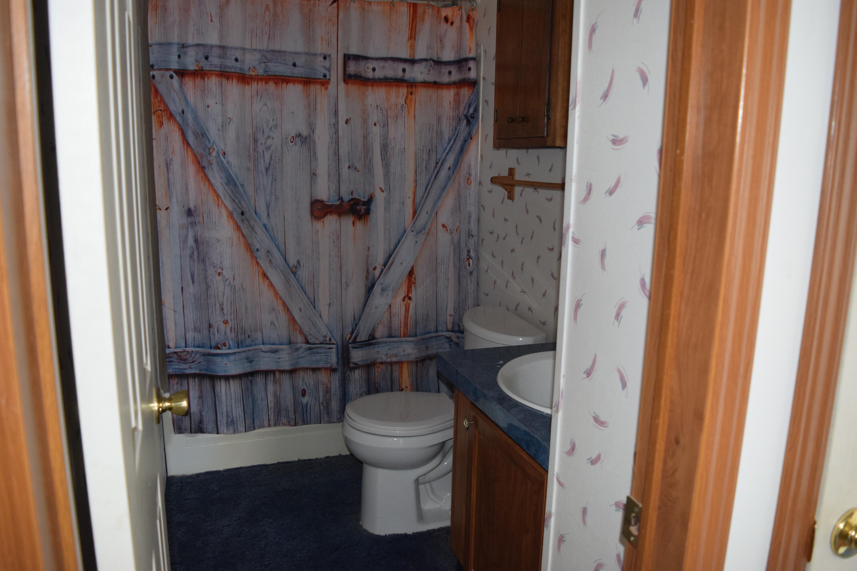 7547 Conner Road Northeast Copper Hill, VA 24079 - Photo 9 of 27 a bathroom with a toilet and a shower