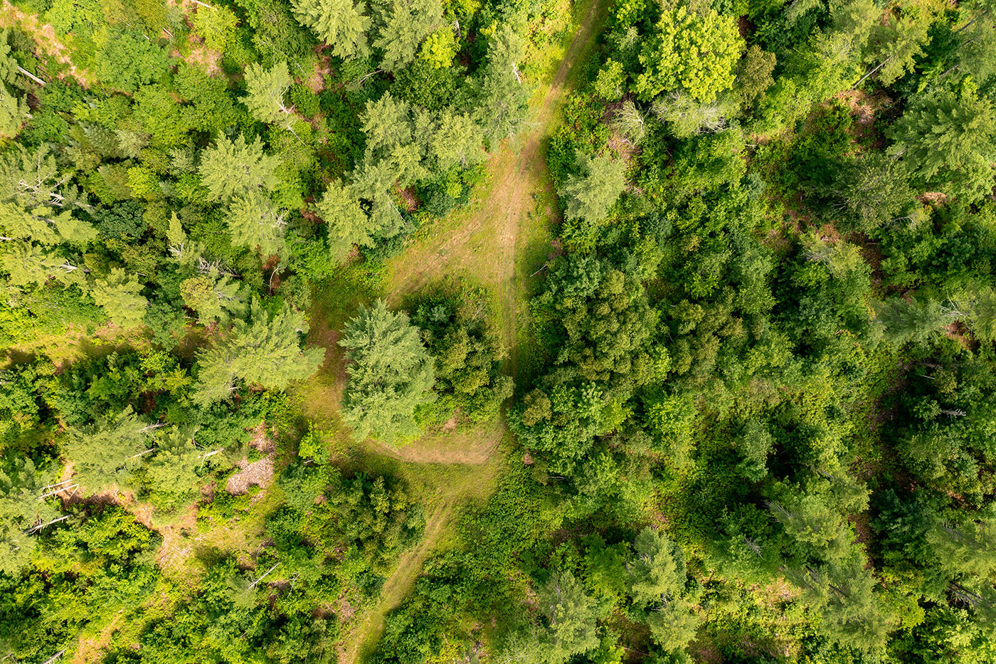 0 Happy Hollow Road Union, ME 04862 - Photo 7 of 12 DJI_0573