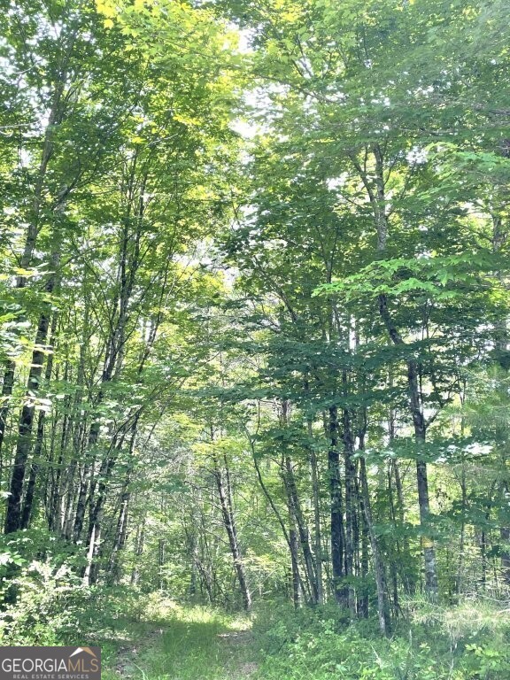 0 Stewart Road Dunlap, TN 37379 - Photo 4 of 12