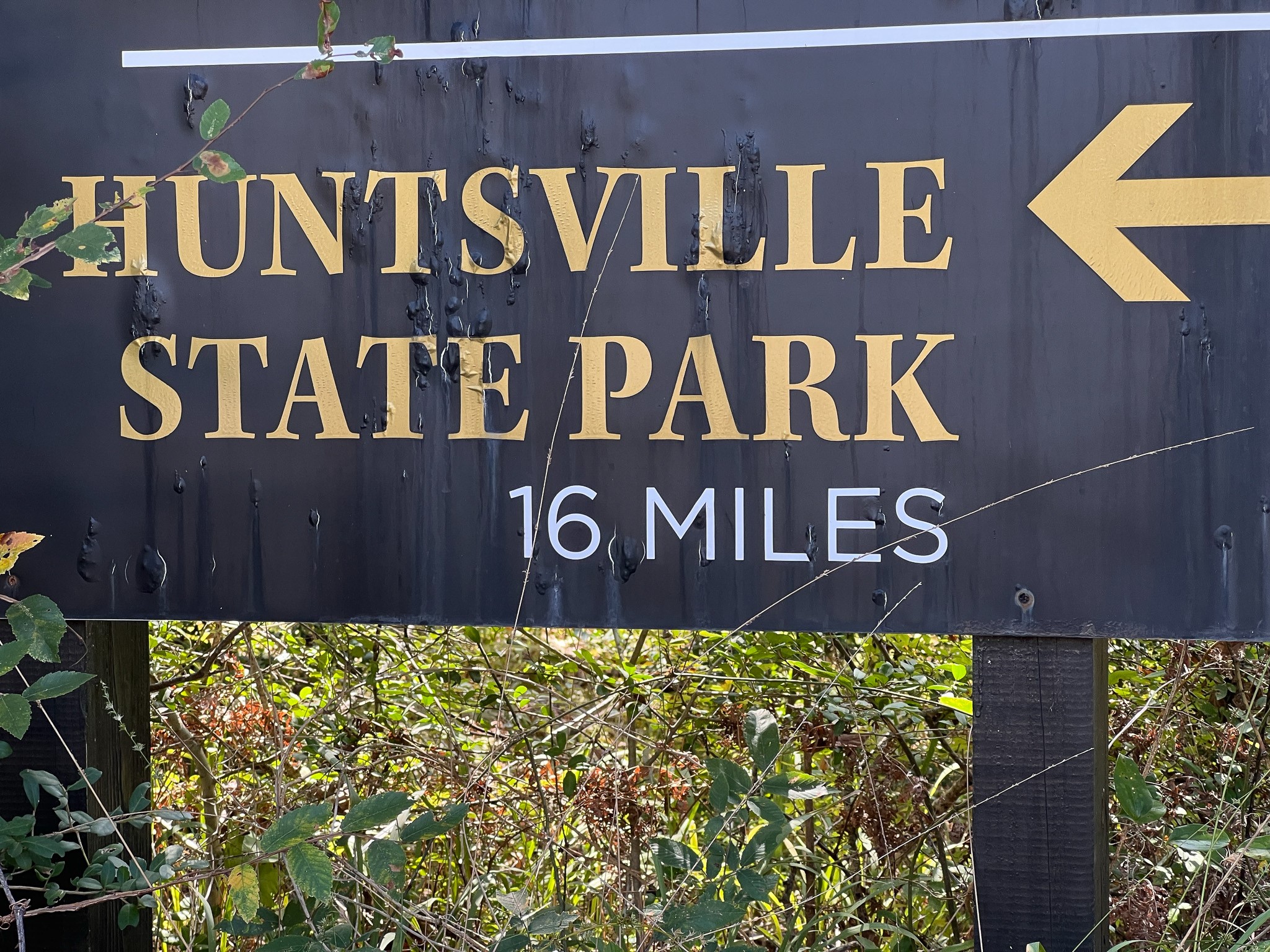 185 Rim Rock Road Huntsville, TX 77340 - Photo 18 of 18 So close to the park if you love to hike, bike, or horseback ride.