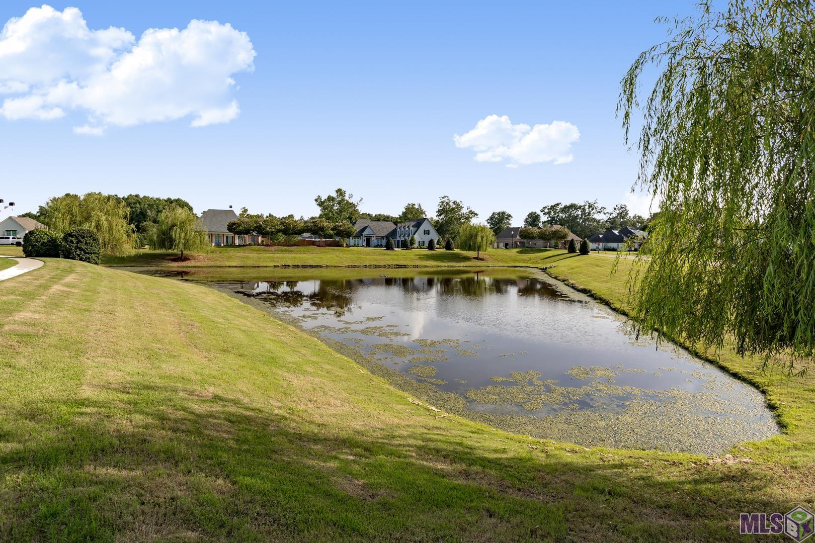 Lot 117 Westin Ridge Drive Geismar, LA 70734 - Photo 5 of 9
