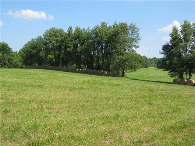 588 Humpback Bridge Road Heltonville, IN 47436 - Photo 18 of 23 Gallery Image 18