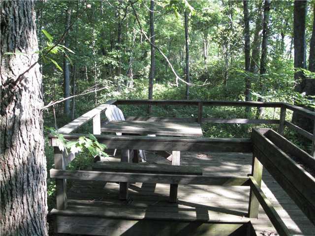 588 Humpback Bridge Road Heltonville, IN 47436 - Photo 19 of 23 Gallery Image 19