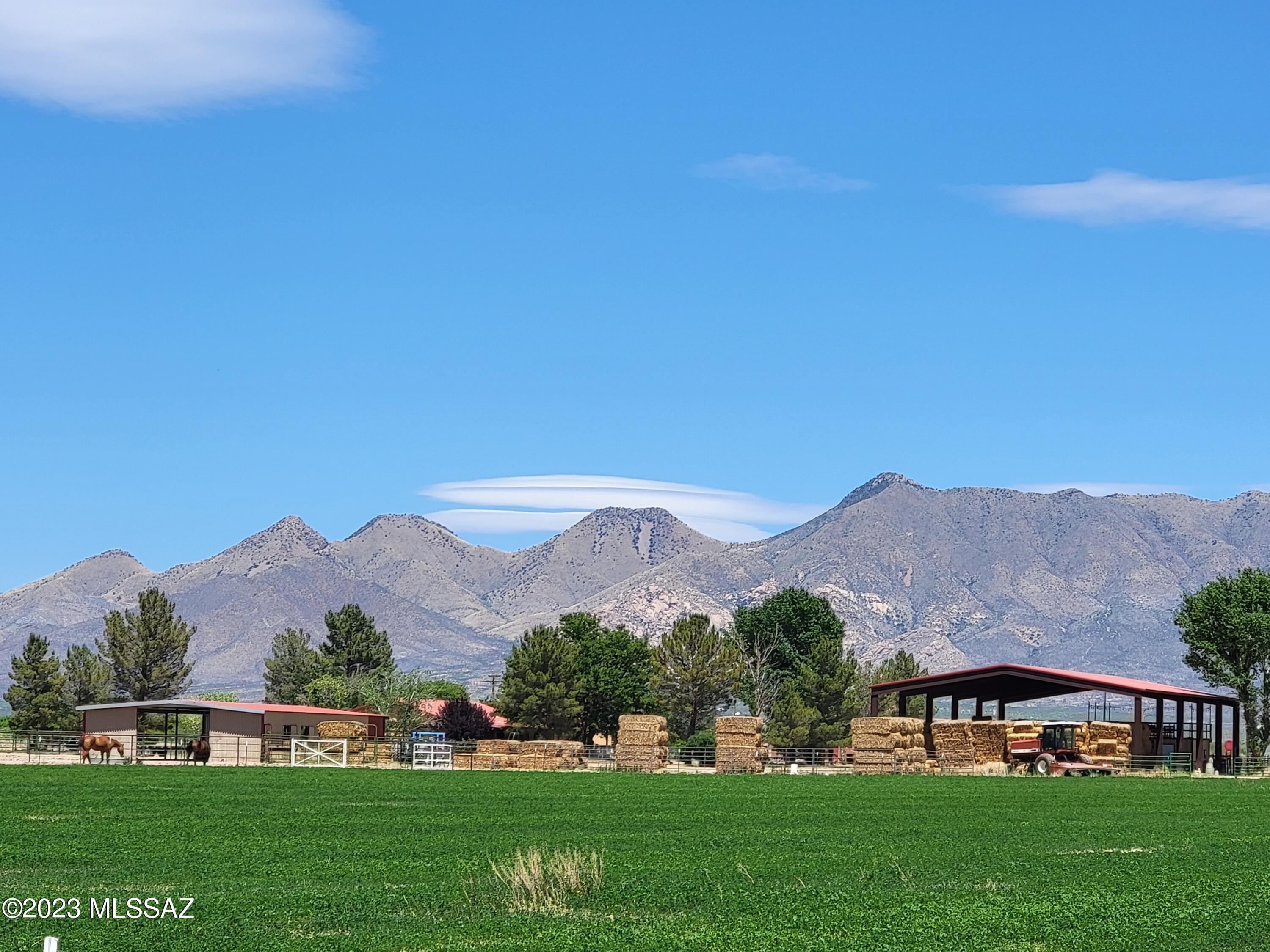 10055 North Mormon Road Elfrida, AZ 85610 - Photo 3 of 43 Gallery Image 3