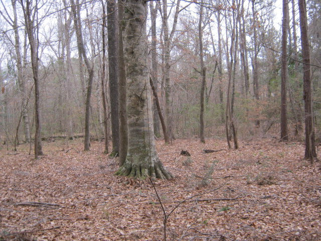6722 Hamp Lea Road Liberty, MS 39645 - Photo 1 of 1 Main View