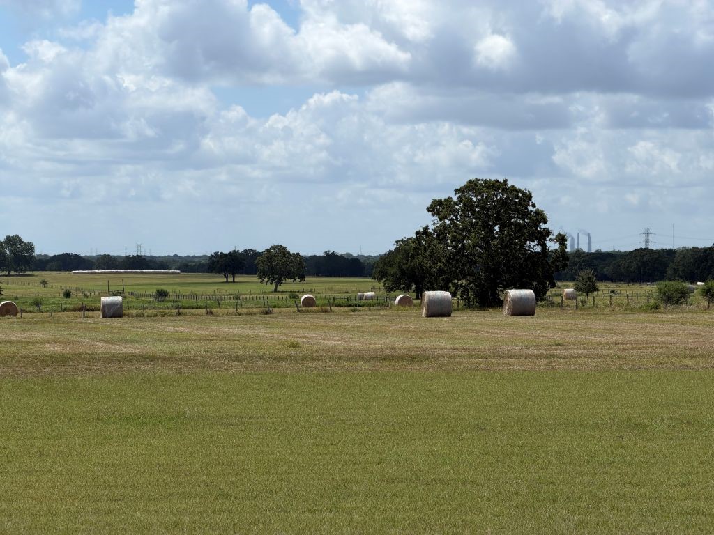 9414 Laird Road Round Top, TX 78954 - Photo 40 of 50 Back pasture hay July 4th weekend