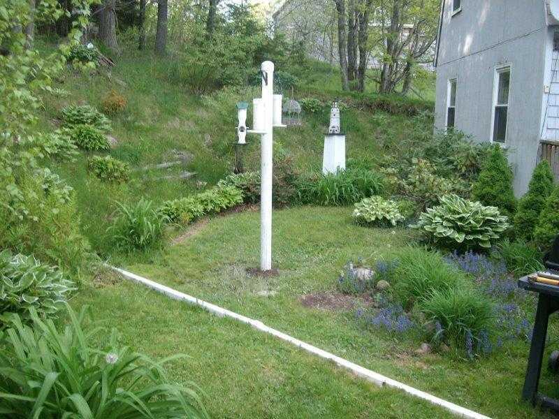 245 North Sedgwick Road Sedgwick, ME 04676 - Photo 30 of 35 Yard/Garden.