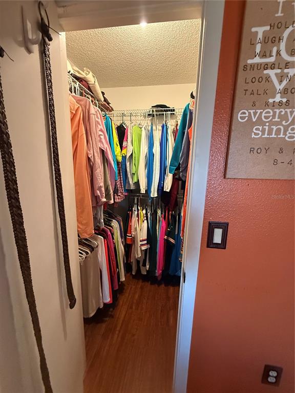3338 Fernleaf Drive Hernando Beach, FL 34607 - Photo 28 of 69 a view of walk in closet with clothes