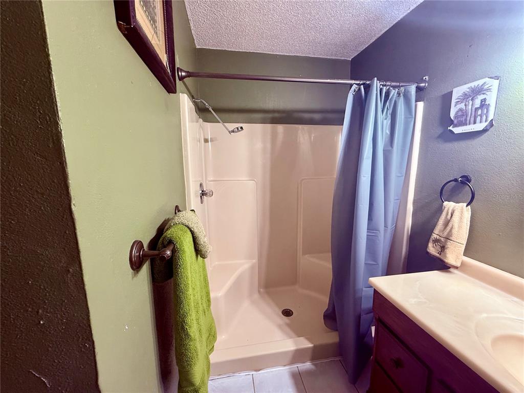 3338 Fernleaf Drive Hernando Beach, FL 34607 - Photo 30 of 69 a bathroom with a shower and a sink