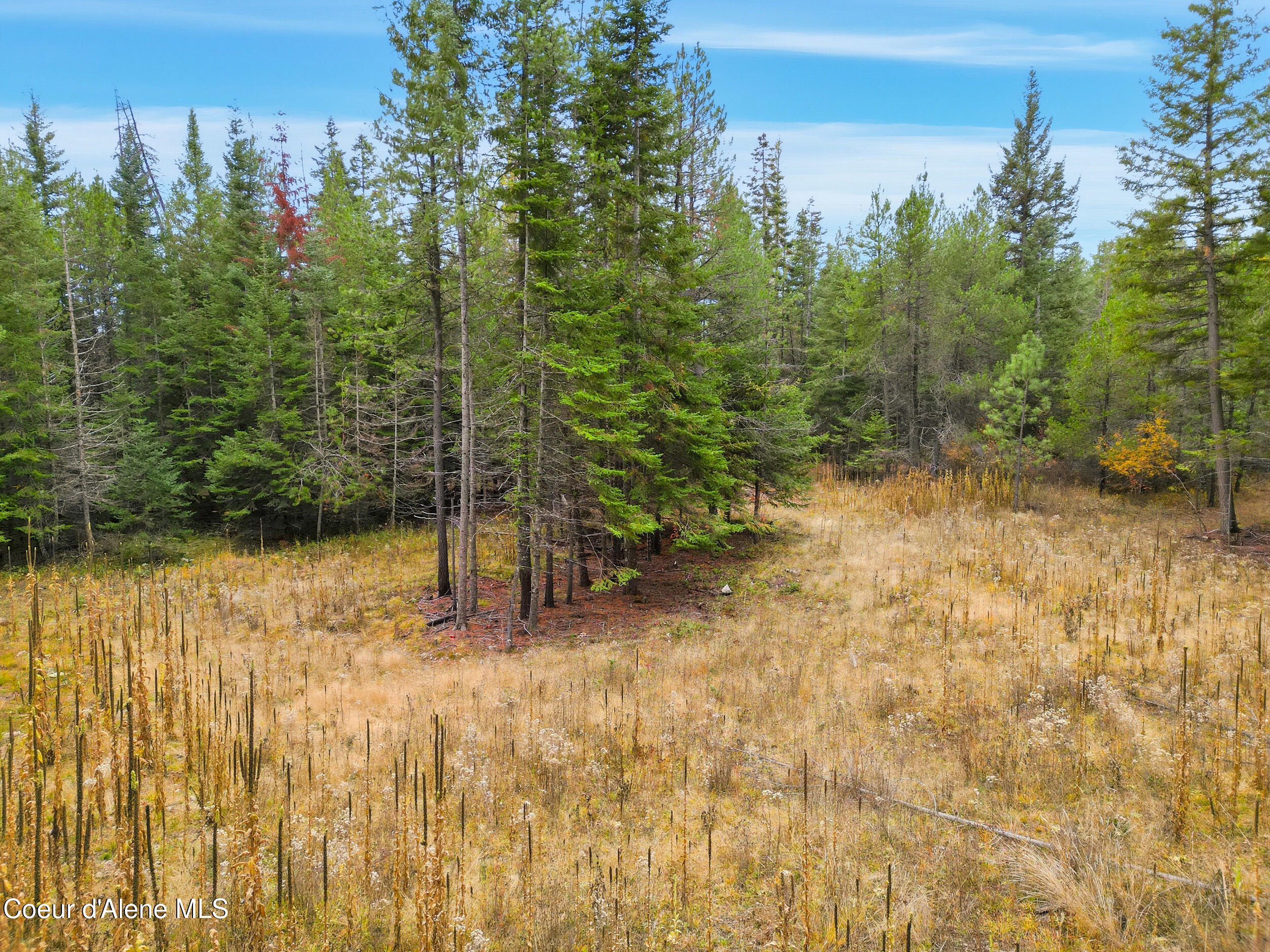 Nka-lot 2 North Rosemere Street Rathdrum, ID 83858 - Photo 13 of 18 NKA N Rosemere - Lot 2