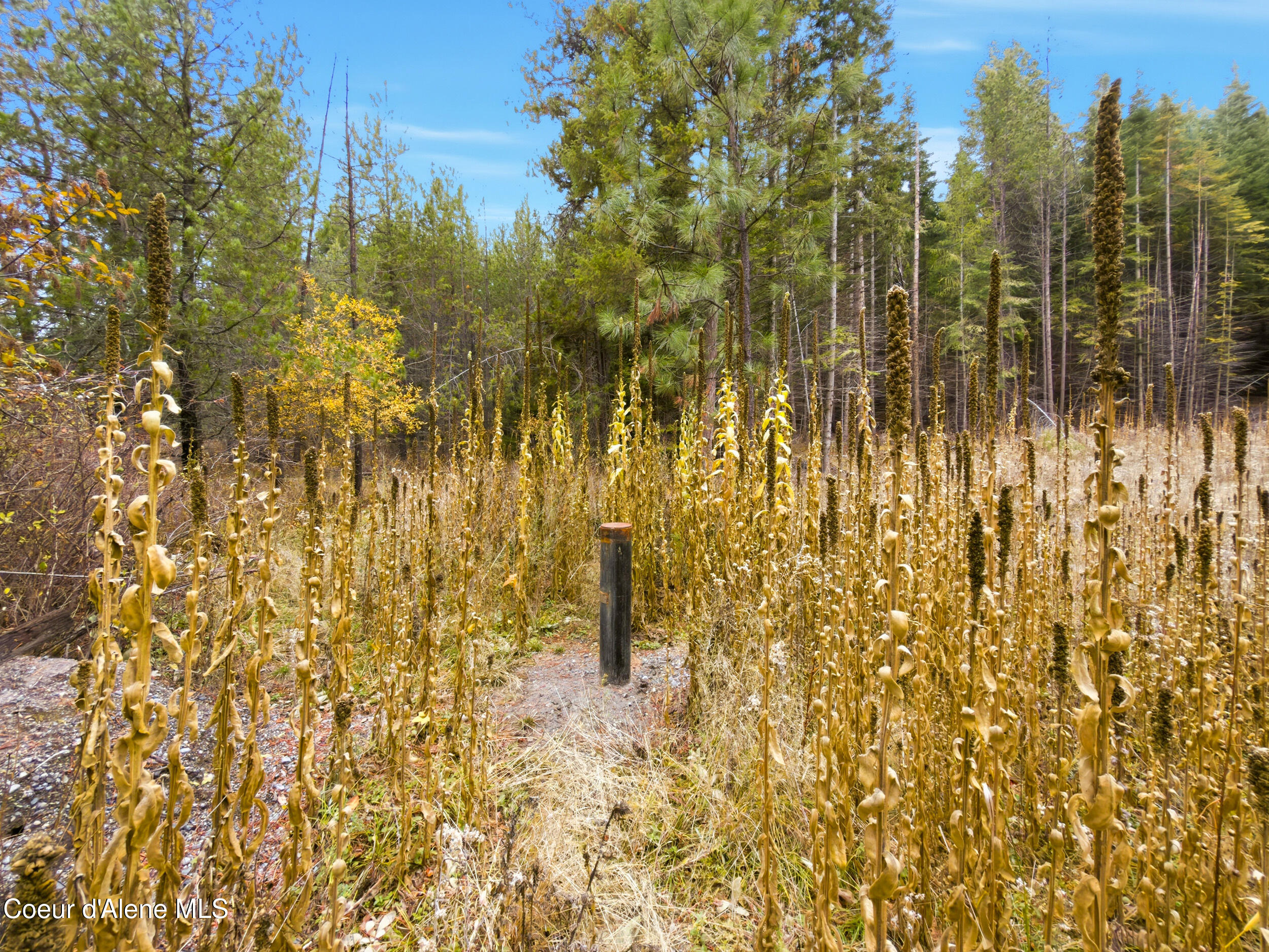 Nka-lot 2 North Rosemere Street Rathdrum, ID 83858 - Photo 16 of 18 NKA N Rosemere - Lot 2