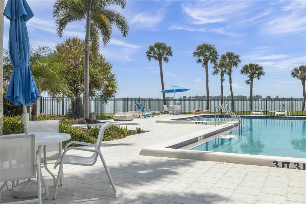 11000 Placida Road, Unit 2202 Placida, FL 33946 - Photo 29 of 58 a view of a swimming pool with a chair and palm trees