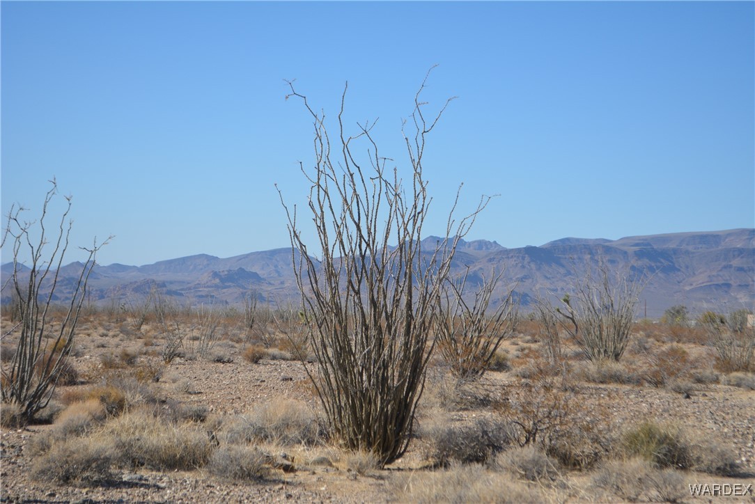 245-24-107 South Rainbow Road Yucca, AZ 86438 - Photo 28 of 91