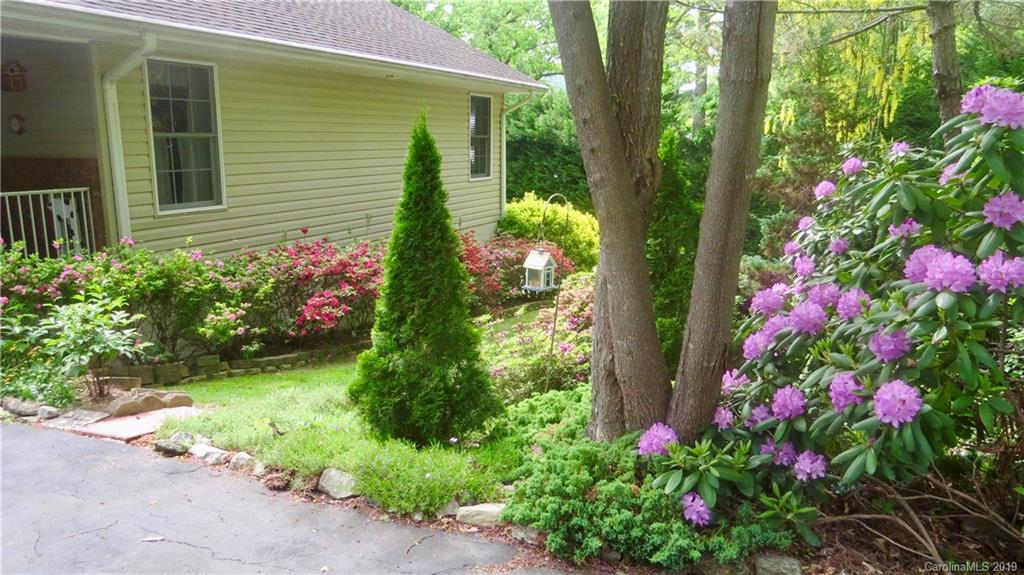 76 Bridgette Loop Road Hendersonville, NC 28791 - Photo 4 of 21 Gallery Image 4