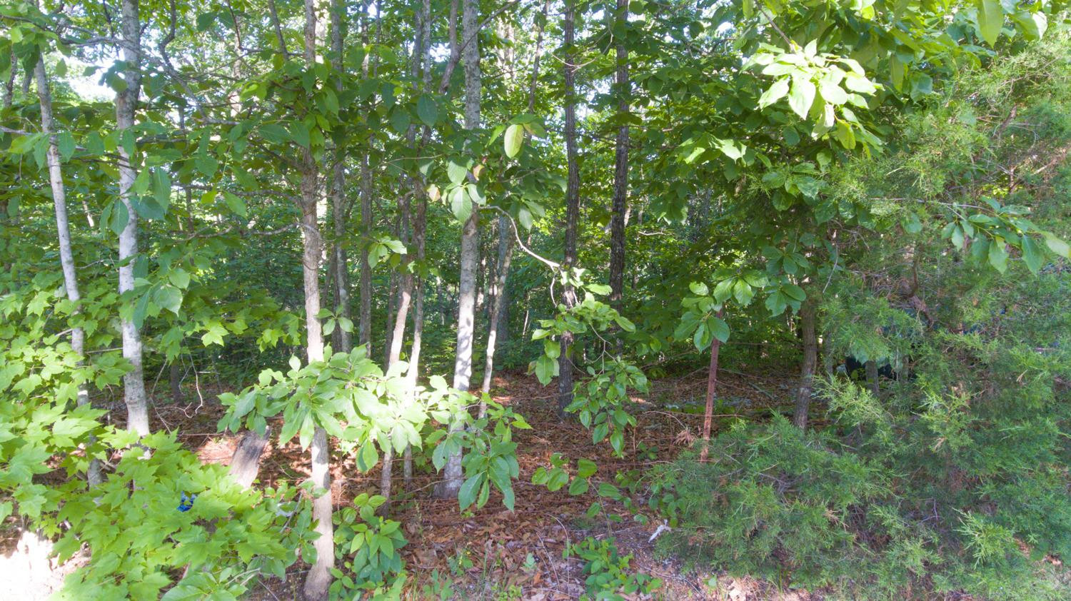 3688 Pine Ridge Road Winchester, KY 40391 - Photo 6 of 16 Photo 6