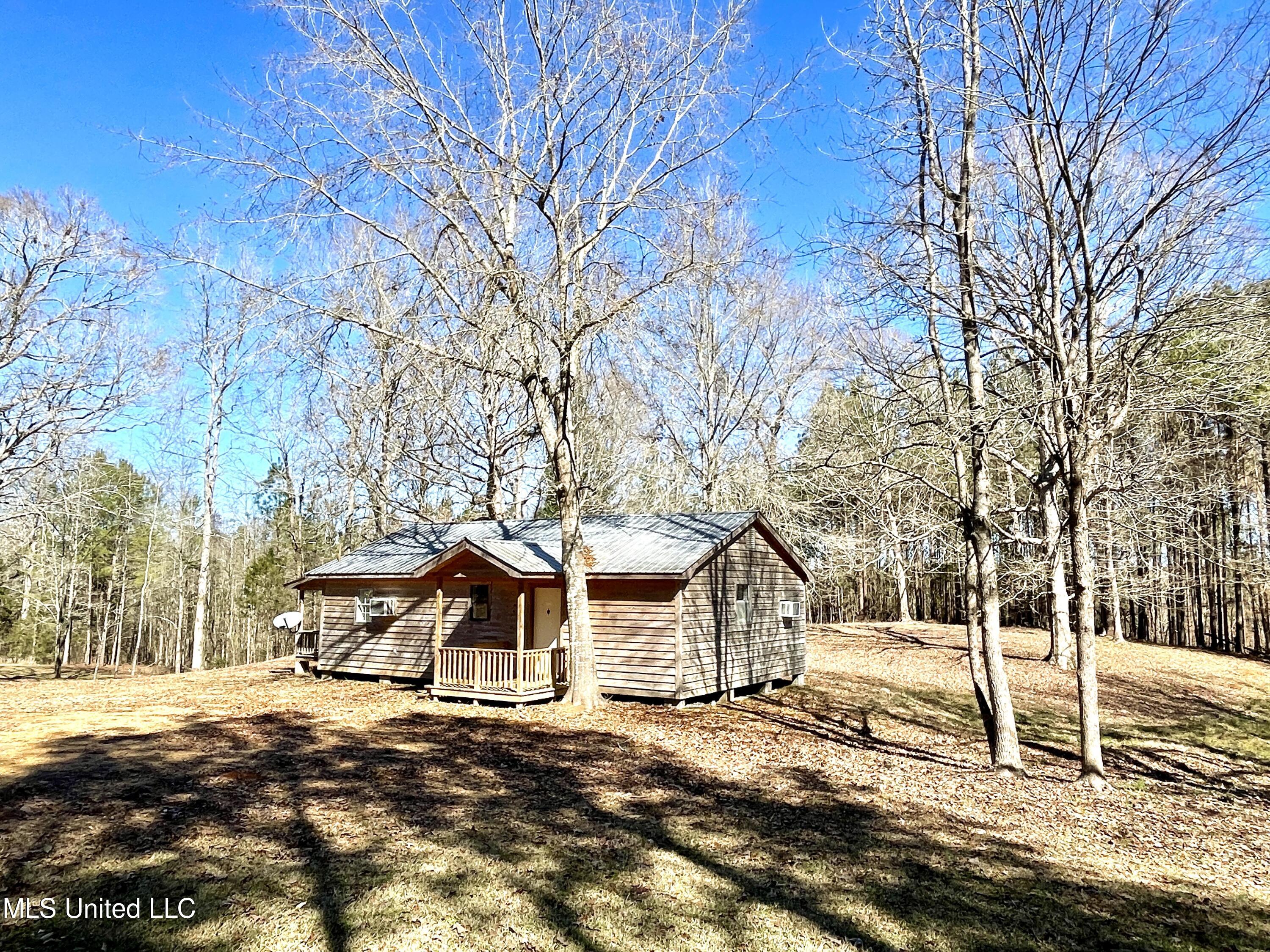 273 Horn Road Carthage, MS 39051 - Photo 4 of 15 IMG_4193