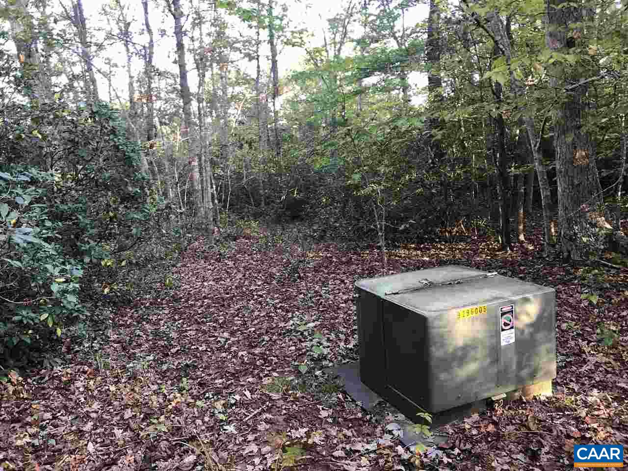 Tbd Findlay Mountain Road Shipman, VA 22971 - Photo 11 of 15 Gallery Image 11