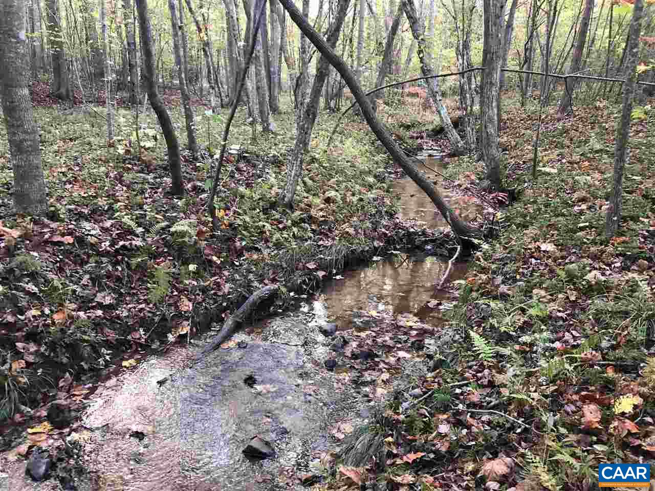 Tbd Findlay Mountain Road Shipman, VA 22971 - Photo 14 of 15 Gallery Image 14