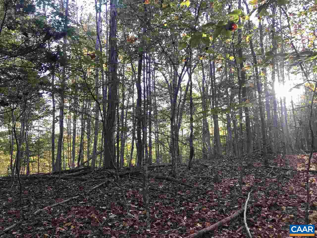 Tbd Findlay Mountain Road Shipman, VA 22971 - Photo 15 of 15 Gallery Image 15