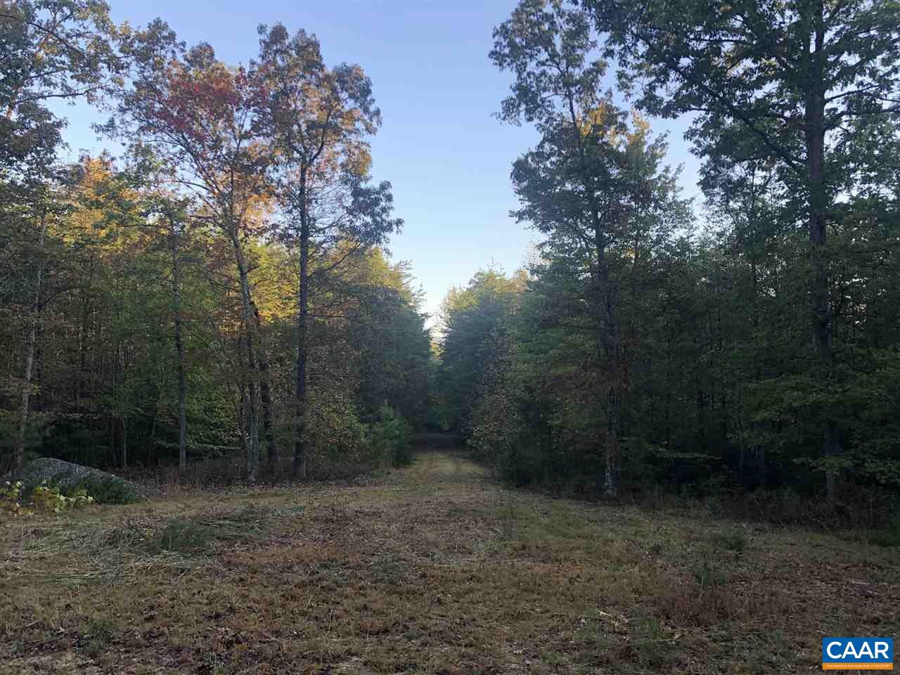 Tbd Findlay Mountain Road Shipman, VA 22971 - Photo 2 of 15 Gallery Image 2