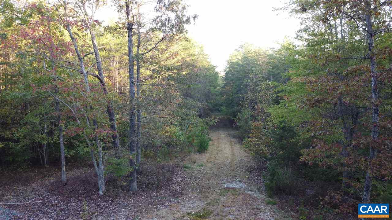 Tbd Findlay Mountain Road Shipman, VA 22971 - Photo 3 of 15 Gallery Image 3