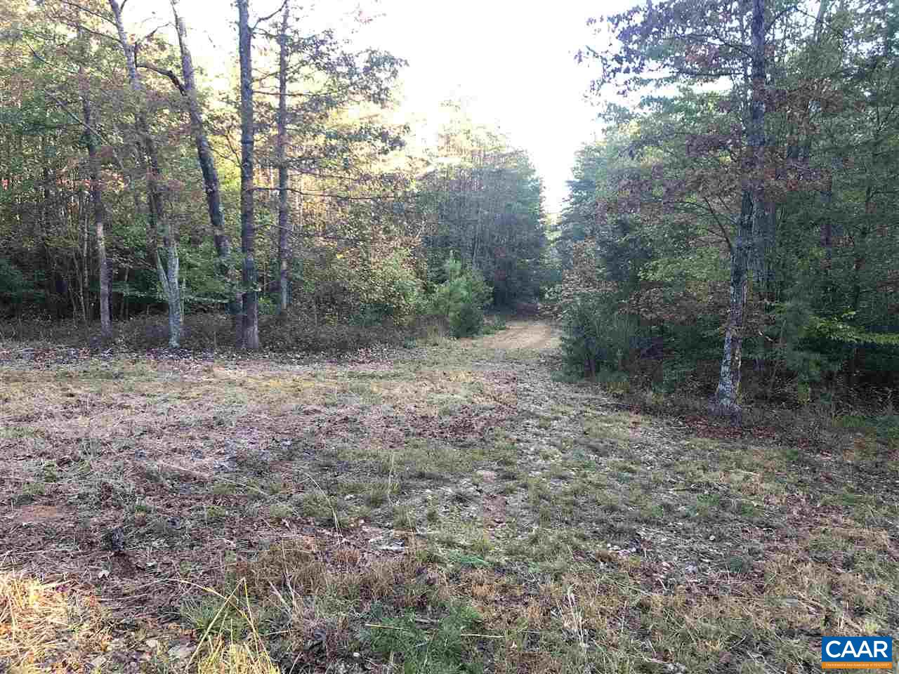 Tbd Findlay Mountain Road Shipman, VA 22971 - Photo 6 of 15 Gallery Image 6