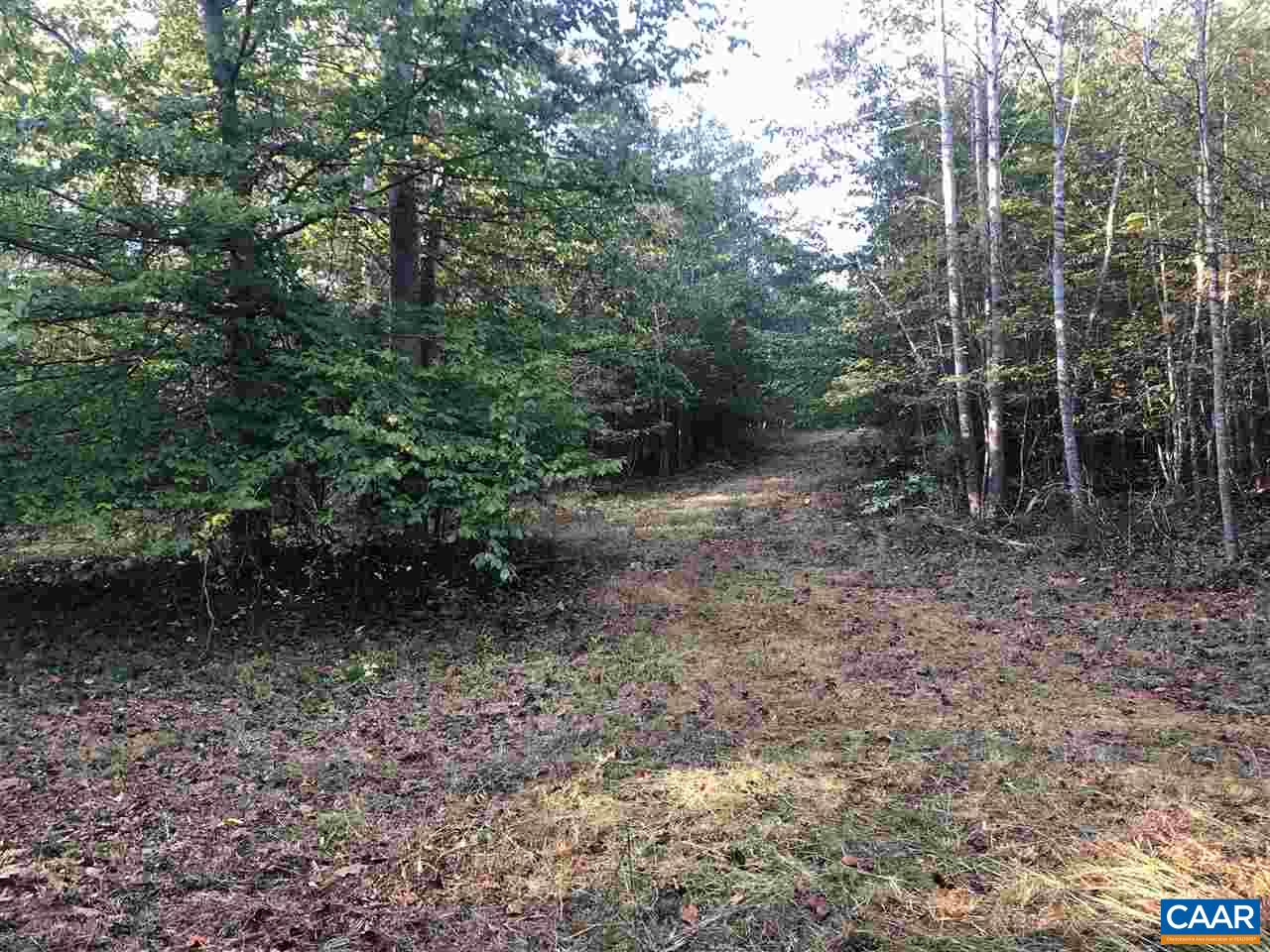 Tbd Findlay Mountain Road Shipman, VA 22971 - Photo 8 of 15 Gallery Image 8