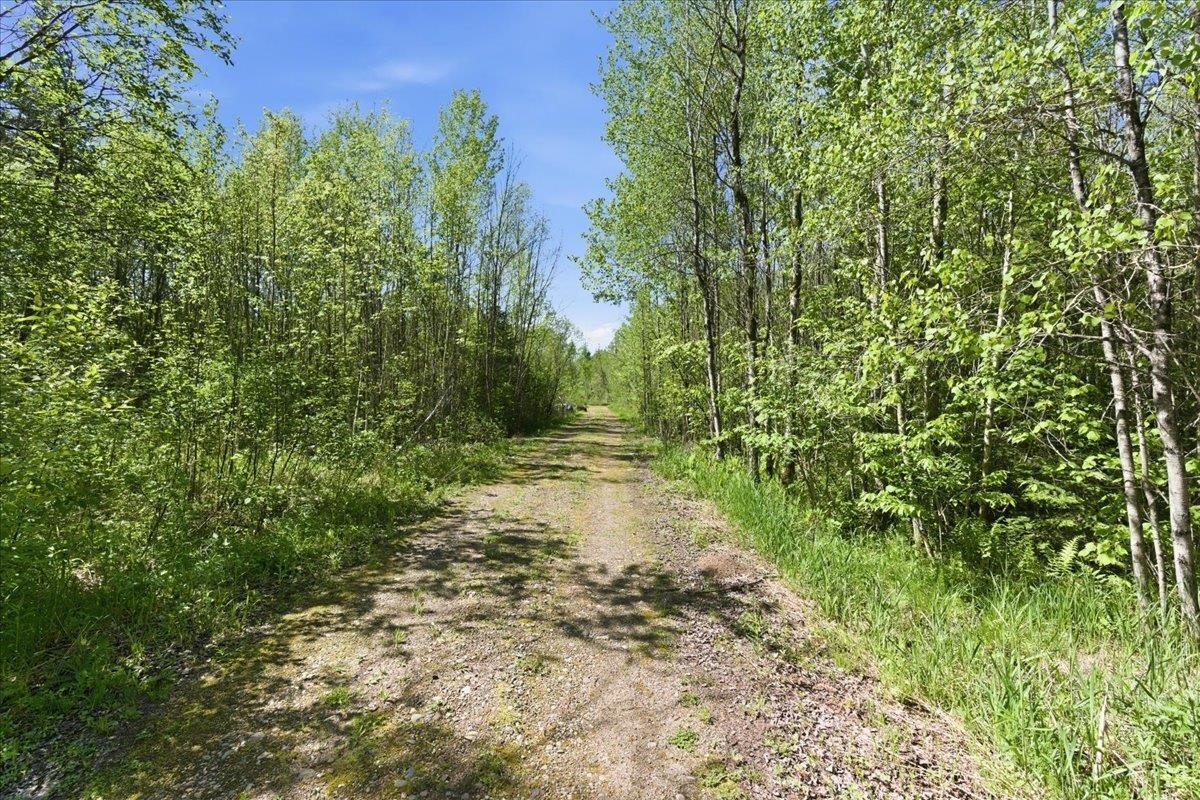 0 County Highway J Deerbrook, WI 54424 - Photo 2 of 78