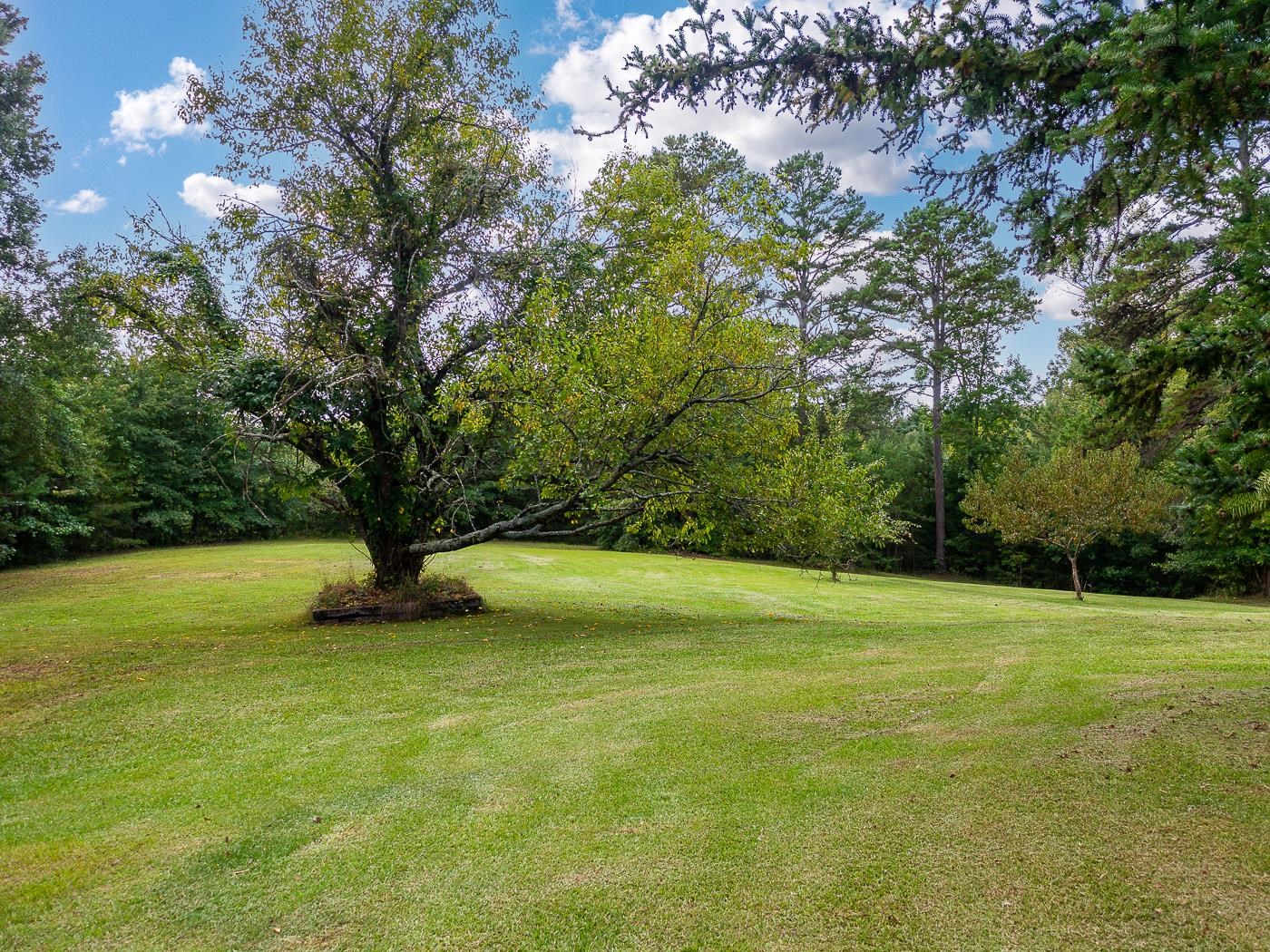 175 Rock Ridge Farm Road Campobello, SC 29322 - Photo 24 of 36