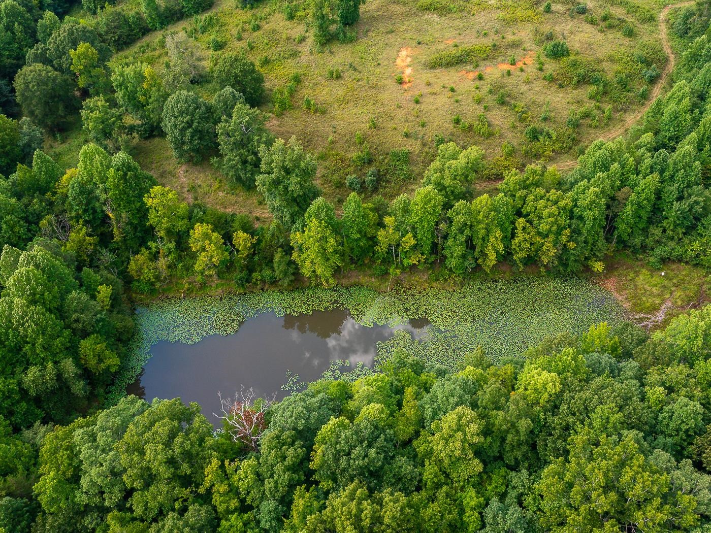175 Rock Ridge Farm Road Campobello, SC 29322 - Photo 34 of 36