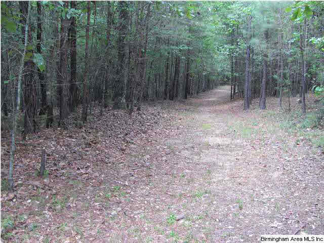 100 Cahaba Oaks Trail Pelham, AL 35124 - Photo 11 of 24