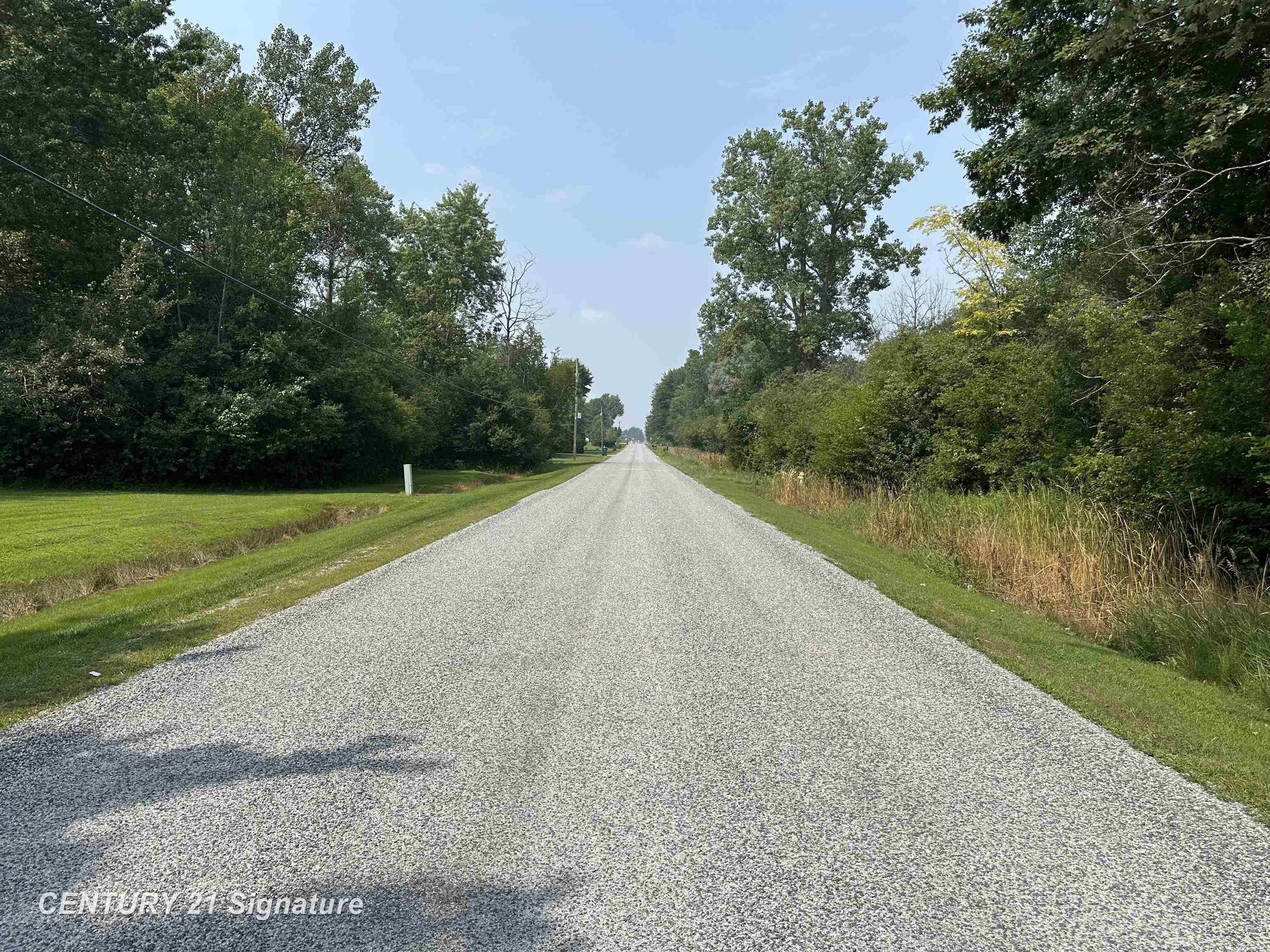 0 Townline Road Birch Run, MI 48415 - Photo 5 of 6