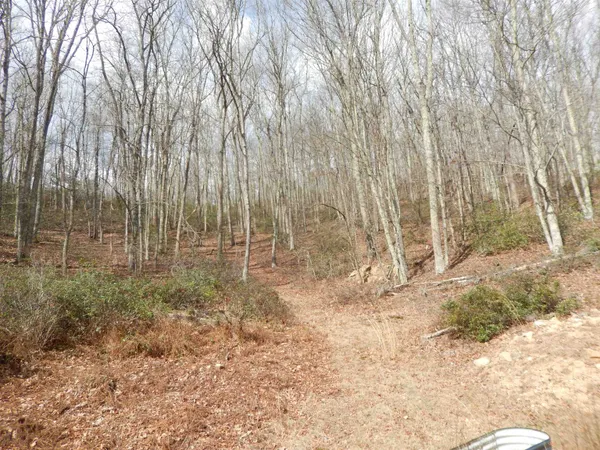 $175,000 | 1308 Spruce Street, Monterey, VA 24465