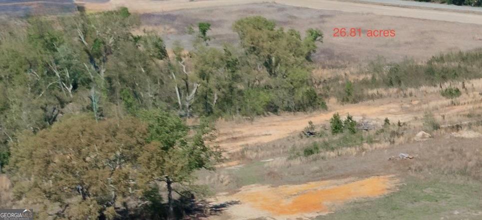 402 Gray's Landing Road Uvalda, GA 30473 - Photo 2 of 8