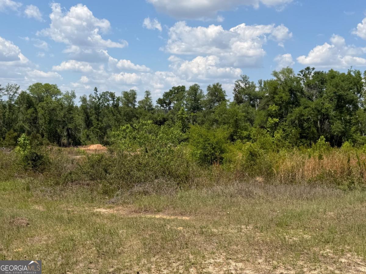 402 Gray's Landing Road Uvalda, GA 30473 - Photo 4 of 8