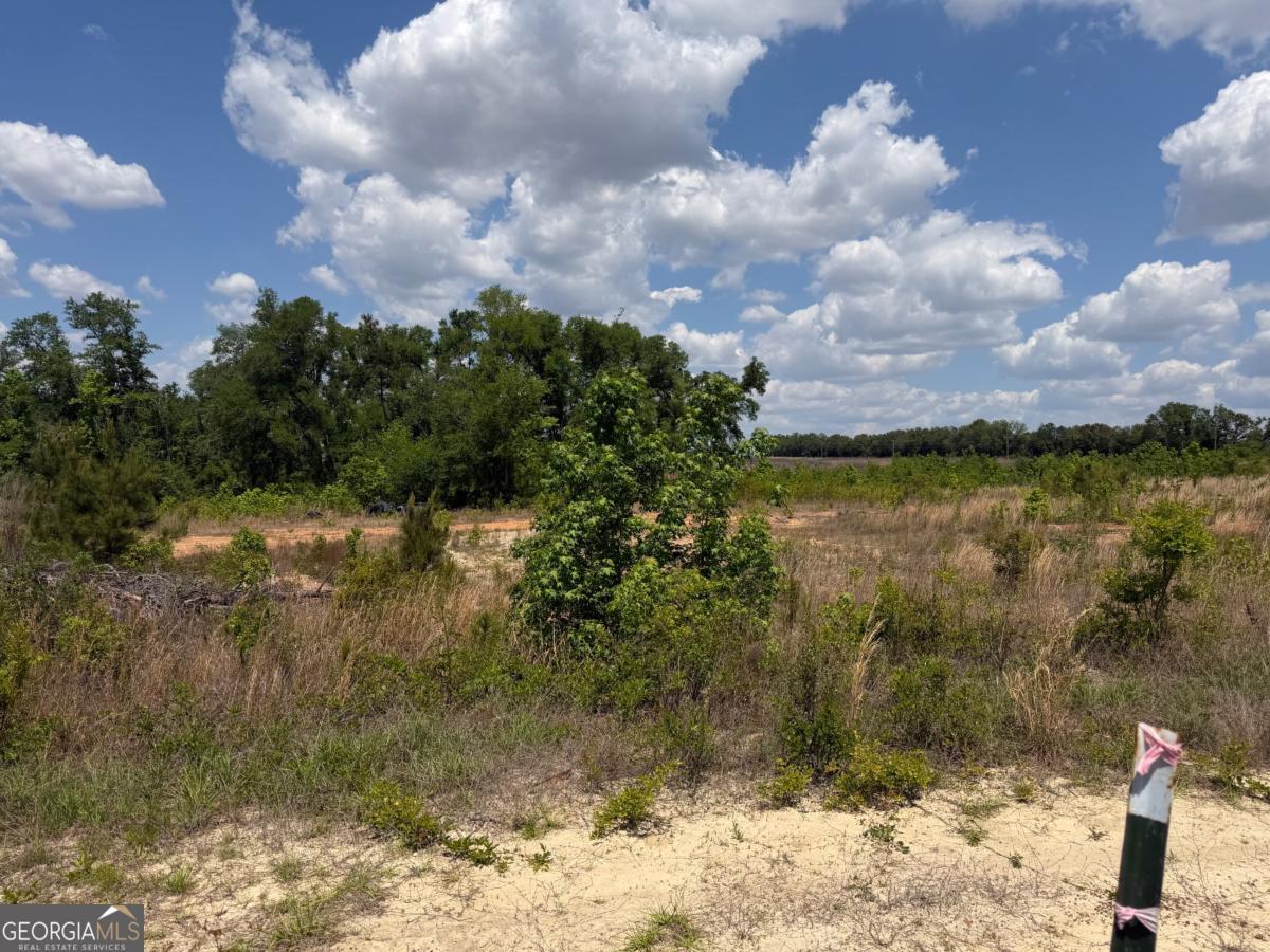 402 Gray's Landing Road Uvalda, GA 30473 - Photo 5 of 8