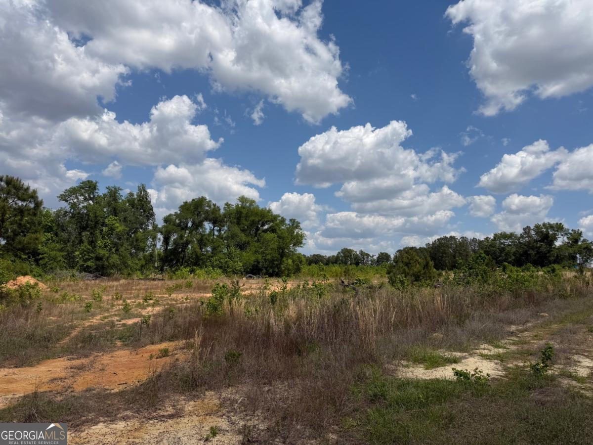 402 Gray's Landing Road Uvalda, GA 30473 - Photo 6 of 8