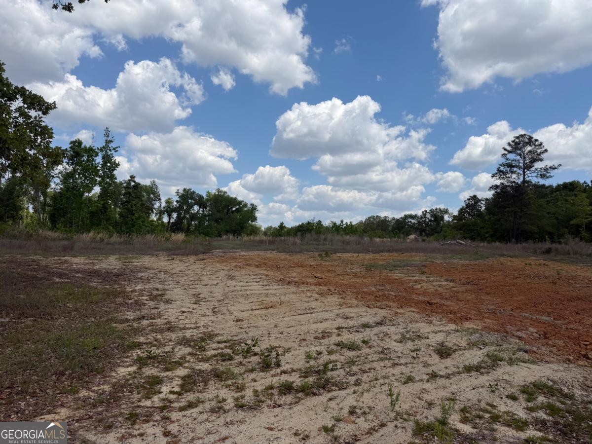 402 Gray's Landing Road Uvalda, GA 30473 - Photo 7 of 8