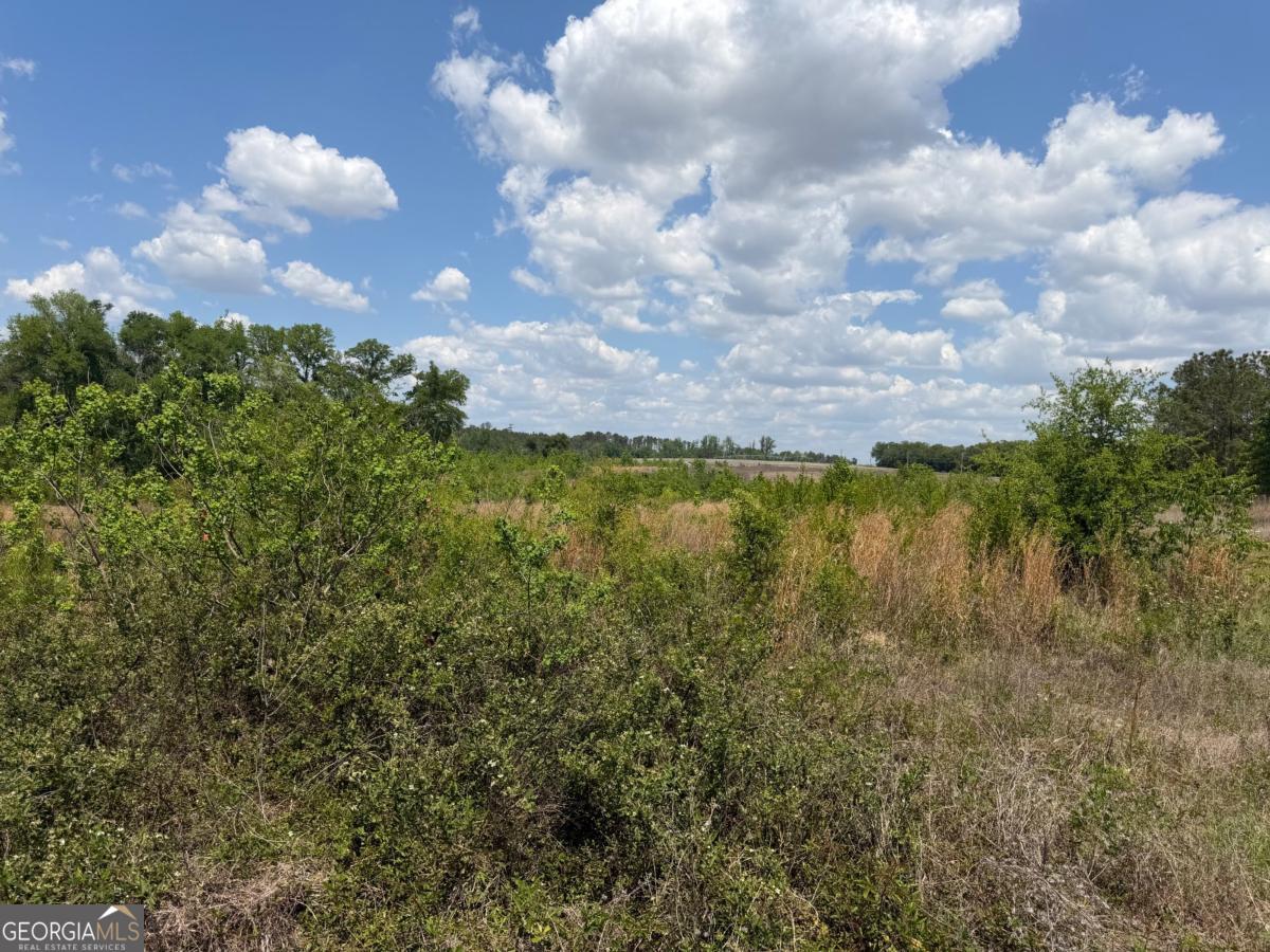 402 Gray's Landing Road Uvalda, GA 30473 - Photo 8 of 8