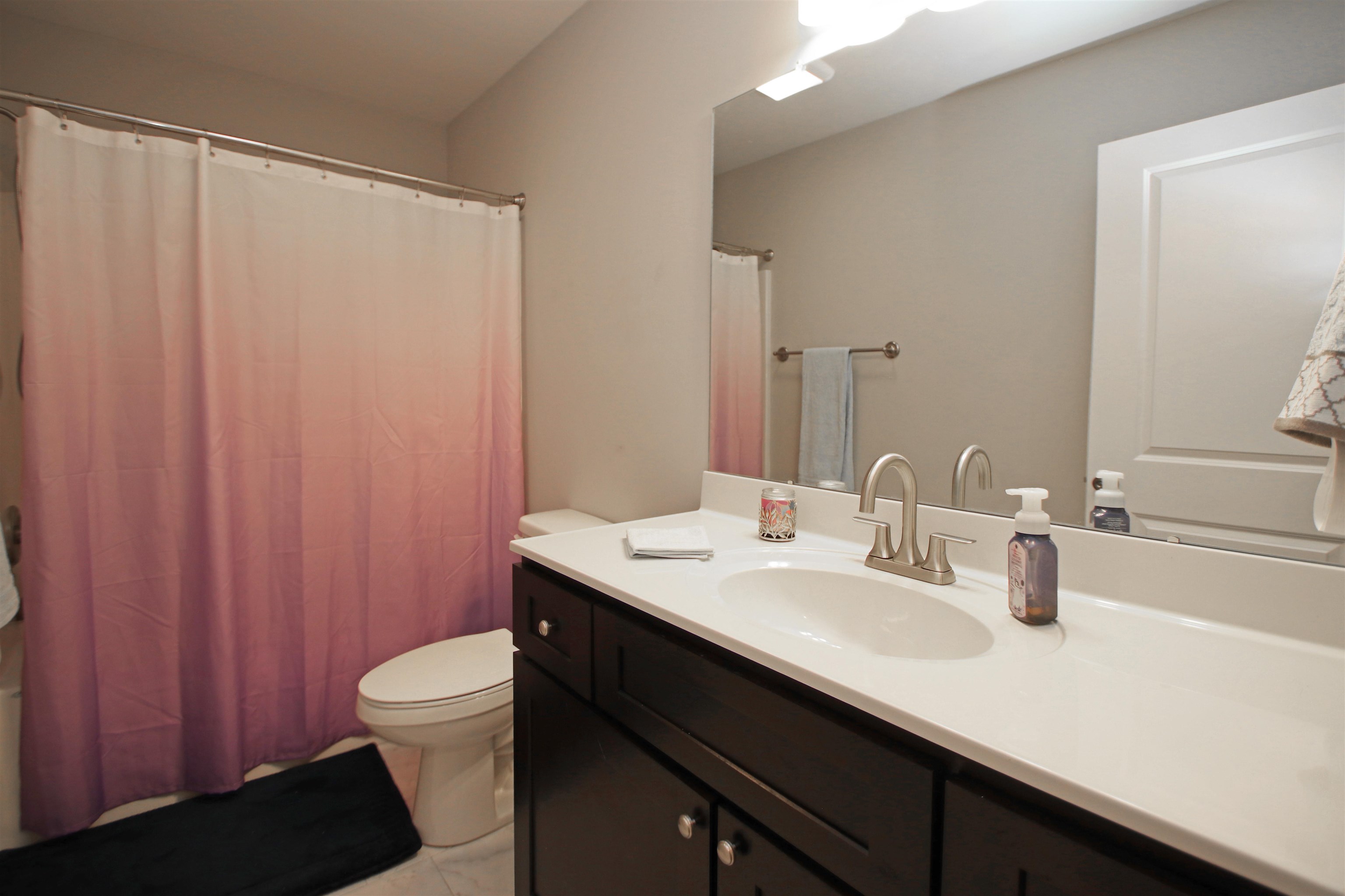 224 Spring Run Lane Waynesboro, VA 22980 - Photo 29 of 52 a bathroom with a sink a toilet a mirror and shower curtain
