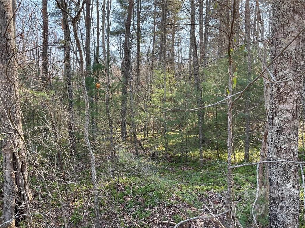 0 Walker Chapel Road Morganton, NC 28655 - Photo 7 of 7 Gallery Image 7