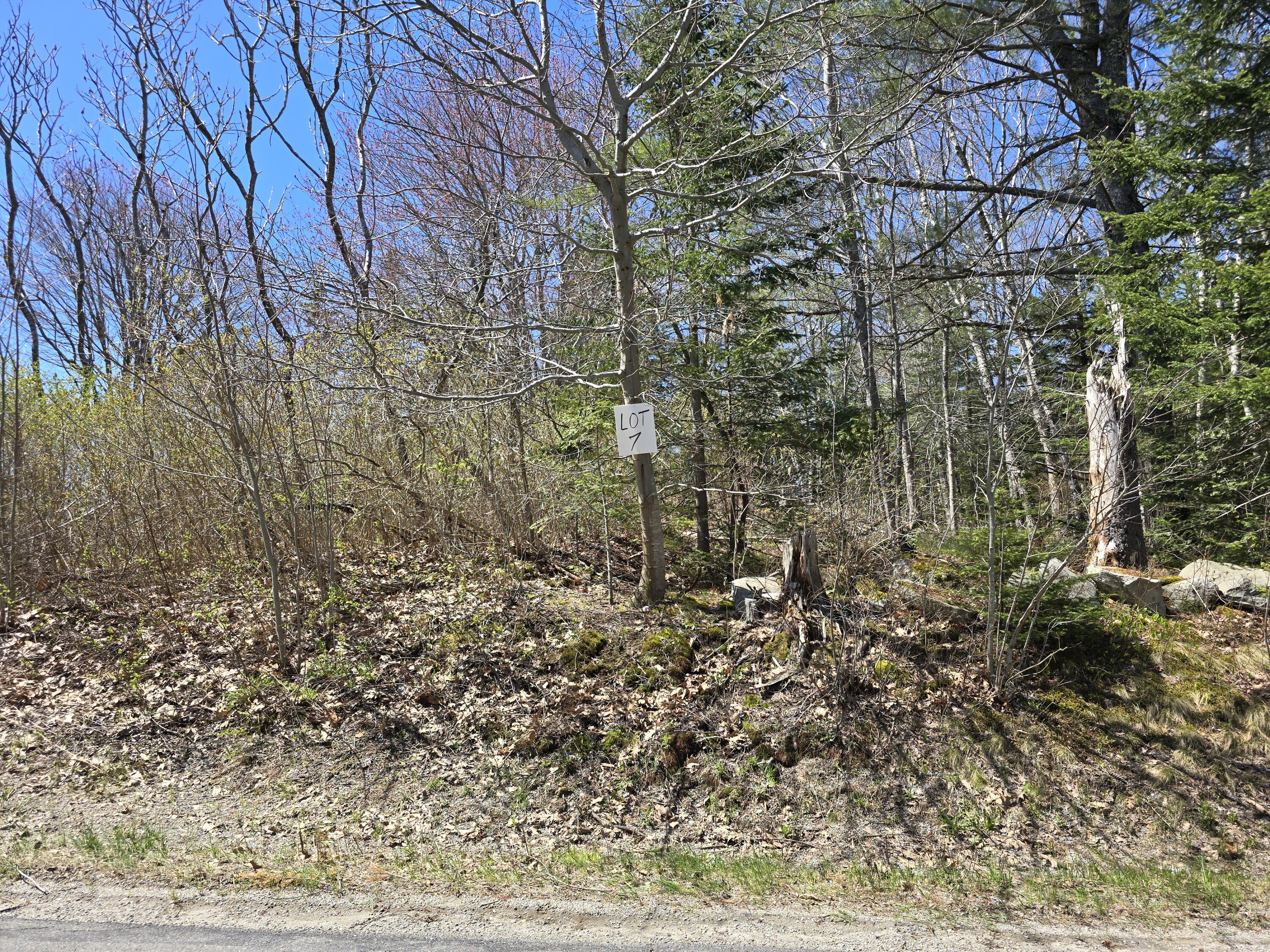 Lot #7 Wallston Road St. George, ME 04860 - Photo 2 of 3 20260507_112825