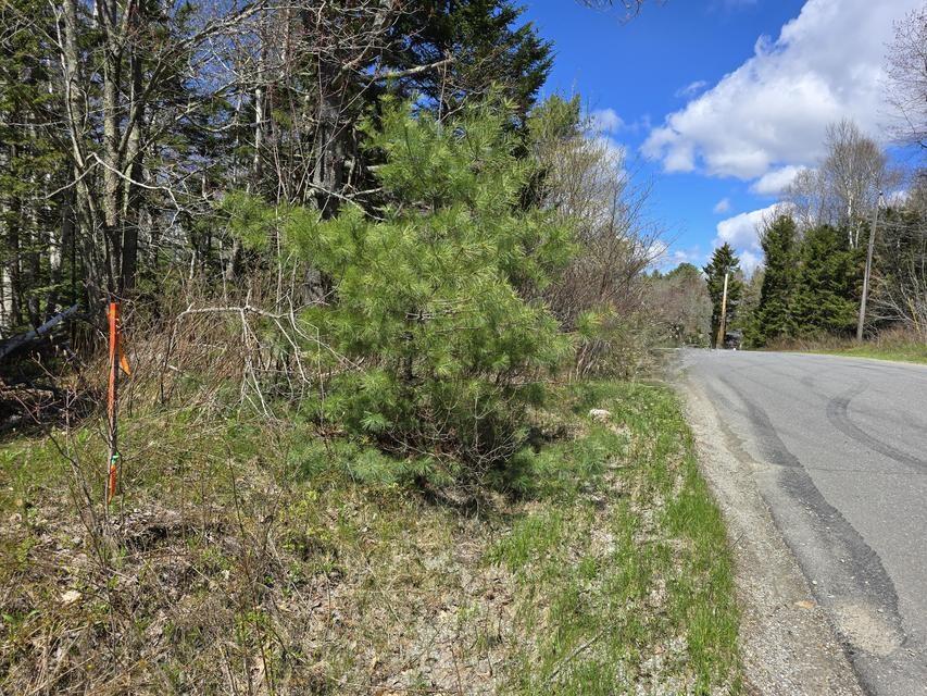 Lot #7 Wallston Road St. George, ME 04860 - Photo 3 of 3 20260508122826337821000000-o 2