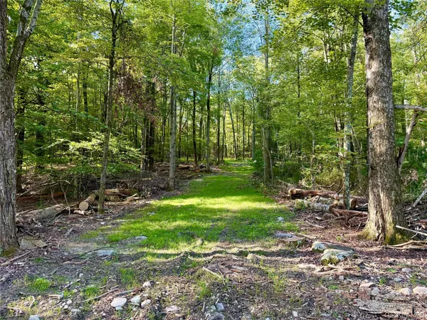 $235,000 | Mt Prosper Road, Wurtsboro, NY 12790