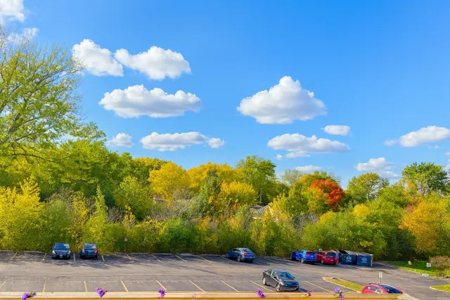 a view of a flower in a garden