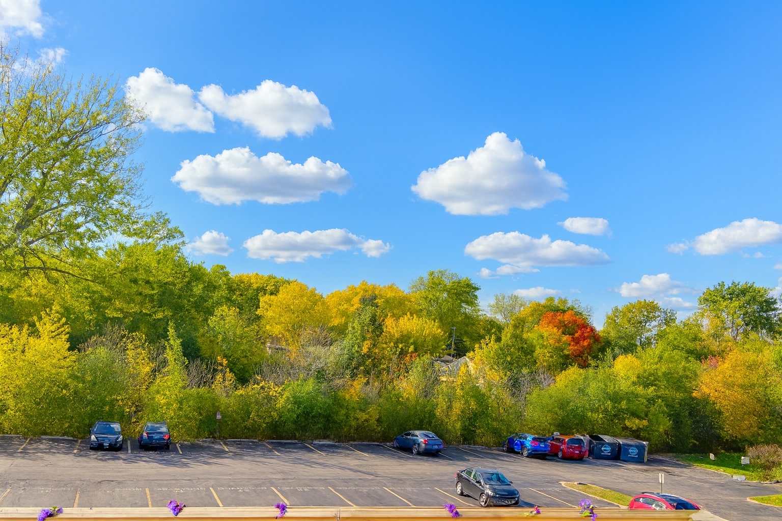 1870 Tall Oaks Drive, Unit 3104 Aurora, IL 60505 - Photo 2 of 16 a view of a flower in a garden