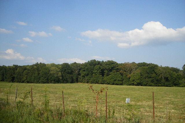 5 Williams Road Christiana, TN 37037 - Photo 3 of 6 a view of a field