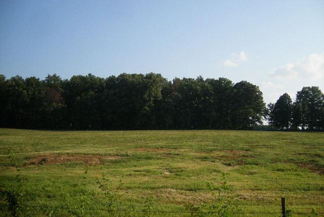 5 Williams Road Christiana, TN 37037 - Photo 4 of 6 a view of a field with an trees