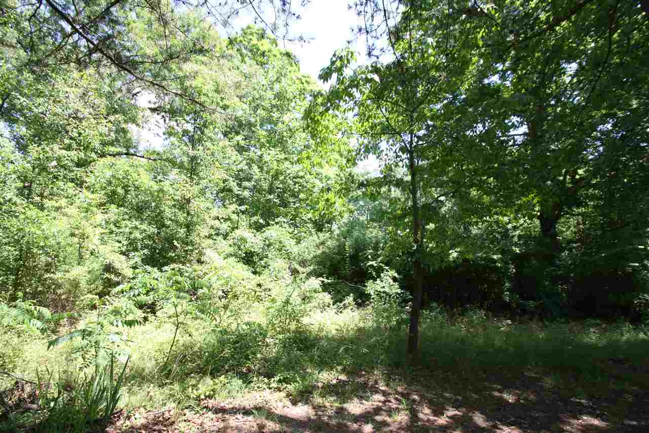 0 Foster Circle Greer, SC 29651 - Photo 10 of 11 Gallery Image 10